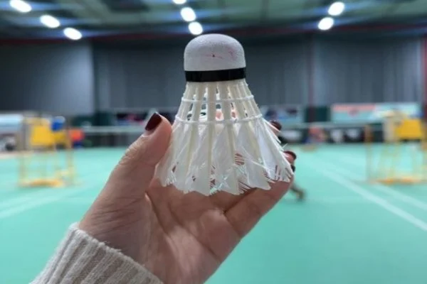 ATP上海大师赛辛纳对德约科维奇男单决赛关键分与冠军气质分析